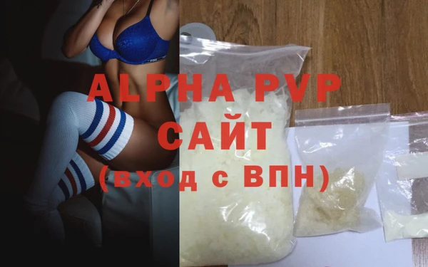 гашик Богданович