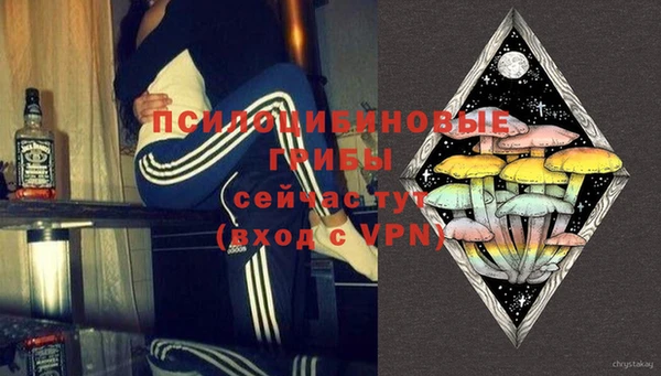 гашик Богданович