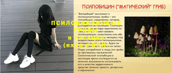 каннабис Богородицк