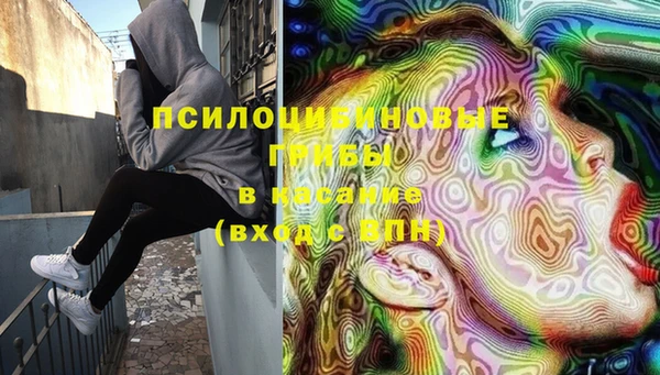 каннабис Богородицк