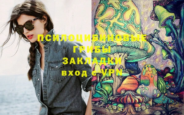 гашик Богданович