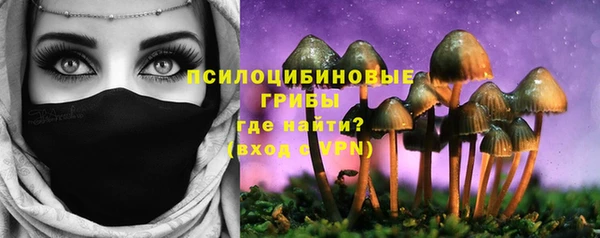 каннабис Богородицк