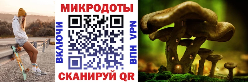Галлюциногенные грибы мухоморы  Калуга 