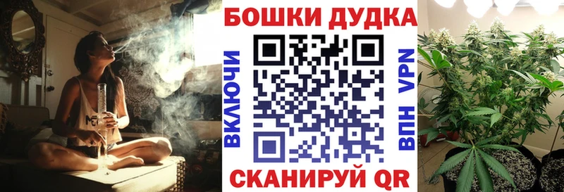 Бошки Шишки конопля  даркнет сайт  kraken ТОР  Калуга 